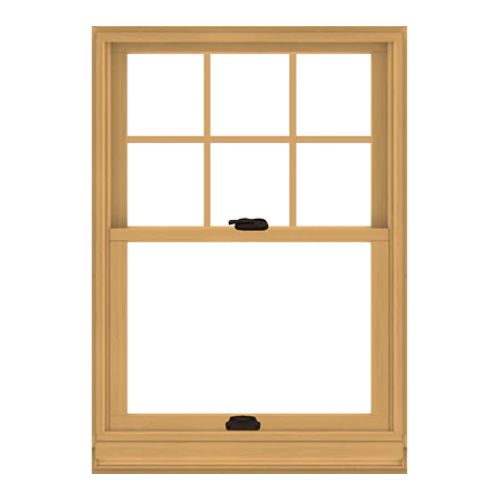 Single & Double Hung Windows